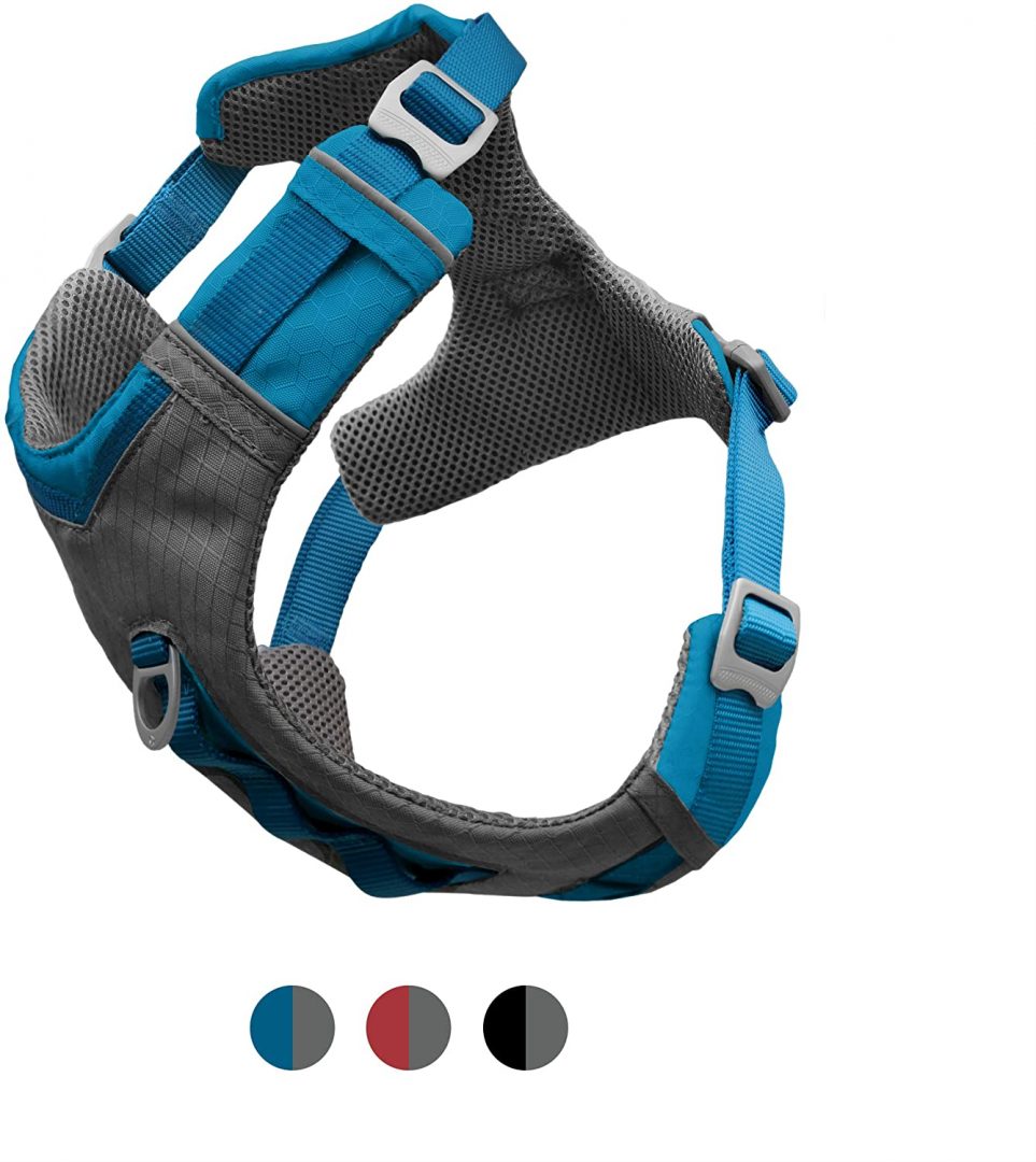 dog hiking harness