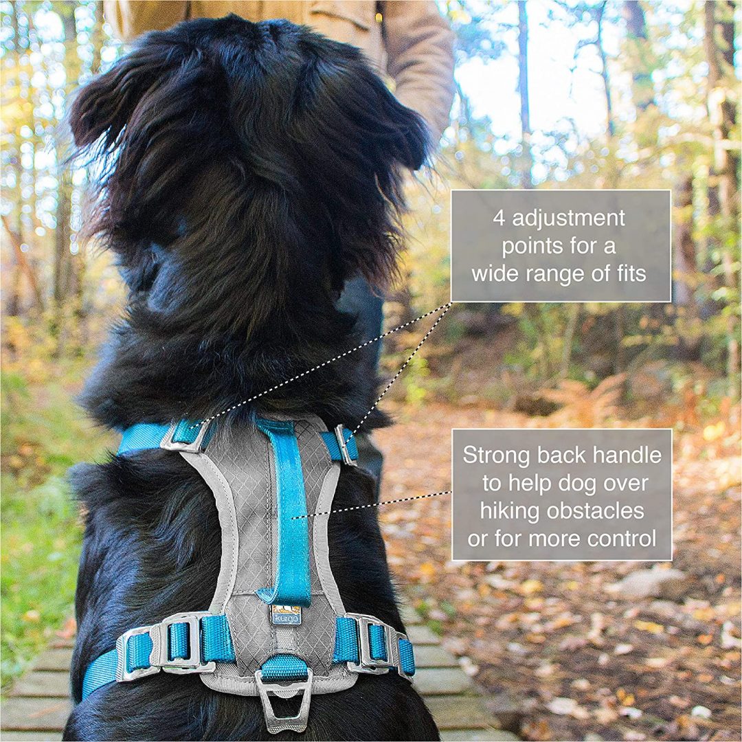 best harness for hiking dogs